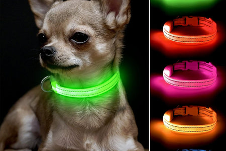 Light up Dog Collars - Adjustable Puppy Collar, Rechargeable LED Dog Collar for Small Dogs, Adjustable Cat Collar, Glowing Dog Lights for Night Walking (Green, XS)