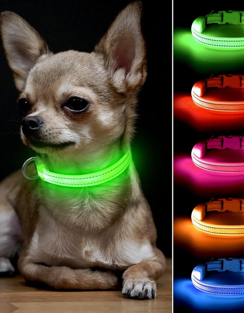 Load image into Gallery viewer, Light up Dog Collars - Adjustable Puppy Collar, Rechargeable LED Dog Collar for Small Dogs, Adjustable Cat Collar, Glowing Dog Lights for Night Walking (Green, XS)
