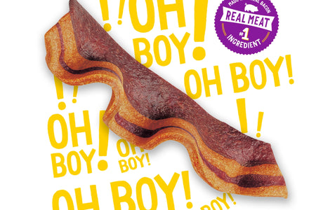 Purina  Strips Dog Treats with Real Bacon & Peanut Butter Flavors Tender Chews, 40 Oz Pouch