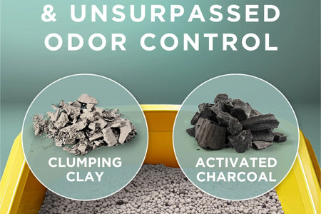 Purina  Free and Clean Clumping Cat Litter, Unscented, 20 Lb Jug