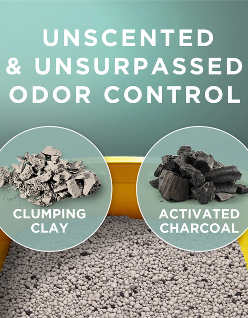 Load image into Gallery viewer, Purina  Free and Clean Clumping Cat Litter, Unscented, 20 Lb Jug
