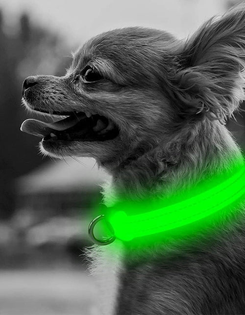 Load image into Gallery viewer, Light up Dog Collars - Adjustable Puppy Collar, Rechargeable LED Dog Collar for Small Dogs, Adjustable Cat Collar, Glowing Dog Lights for Night Walking (Green, XS)
