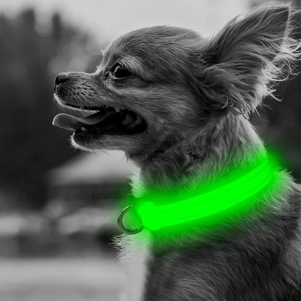 Light up Dog Collars - Adjustable Puppy Collar, Rechargeable LED Dog Collar for Small Dogs, Adjustable Cat Collar, Glowing Dog Lights for Night Walking (Green, XS)