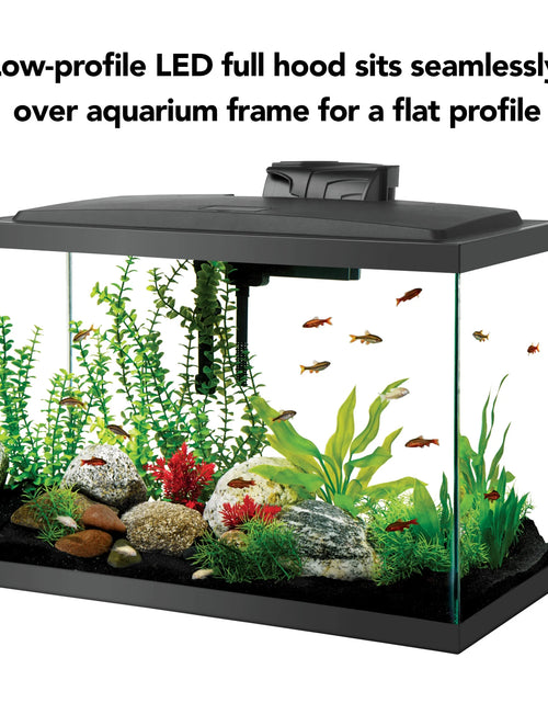 Load image into Gallery viewer, Aquarium Fish Tank Starter Kit with LED Lighting 20 High
