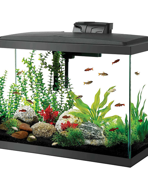 Load image into Gallery viewer, Aquarium Fish Tank Starter Kit with LED Lighting 20 High
