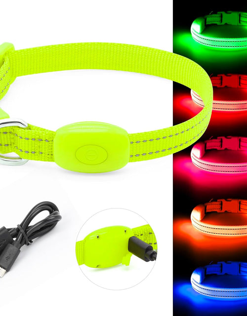 Load image into Gallery viewer, Light up Dog Collars - Adjustable Puppy Collar, Rechargeable LED Dog Collar for Small Dogs, Adjustable Cat Collar, Glowing Dog Lights for Night Walking (Green, XS)
