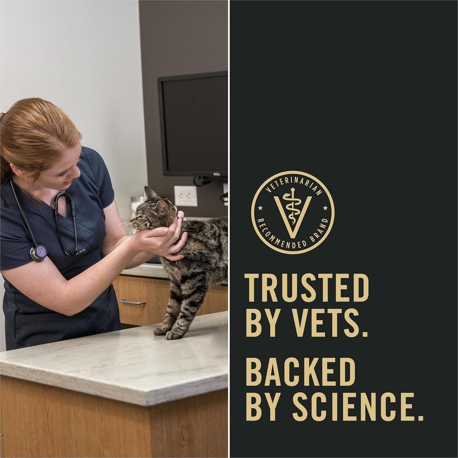 Liveclear with Probiotics Allergen Reducing Weight Management Adult Dry Cat Food