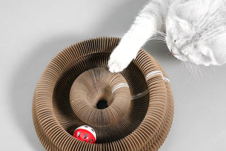 PurrfectScratch Magic Organ Cat Scratching Board – Interactive Claw Grinder & Fun Toy for Cats