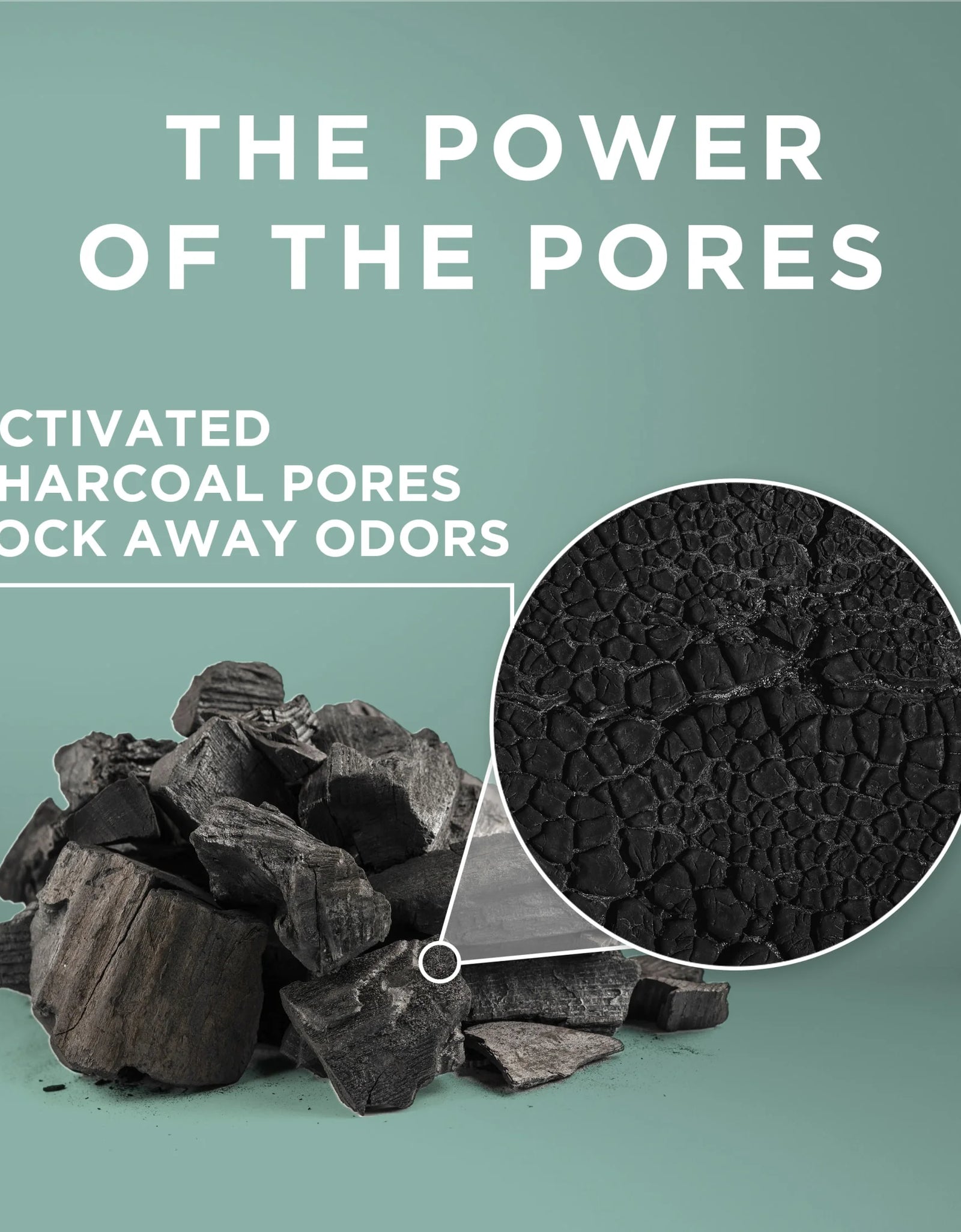 Purina  Free and Clean Clumping Cat Litter, Unscented, 20 Lb Jug