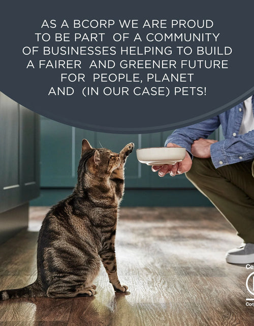 Load image into Gallery viewer, Pet Food Natural Wet Cat Food, Fish &amp; Chicken in Broth Variety Pack, 12 X 2.47Oz Pouches
