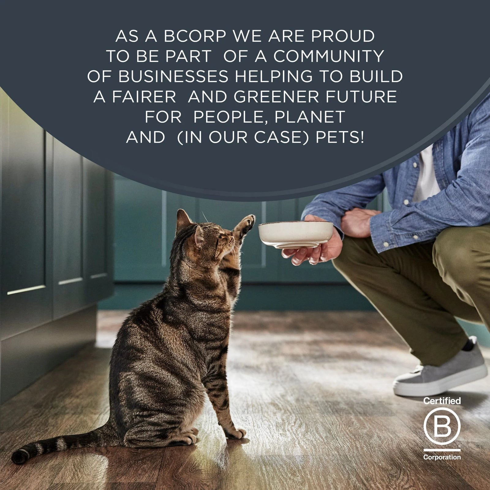 Pet Food Natural Wet Cat Food, Fish & Chicken in Broth Variety Pack, 12 X 2.47Oz Pouches