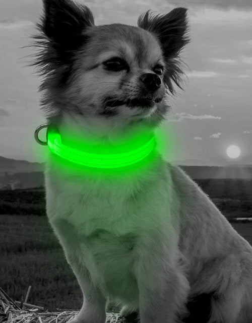 Load image into Gallery viewer, Light up Dog Collars - Adjustable Puppy Collar, Rechargeable LED Dog Collar for Small Dogs, Adjustable Cat Collar, Glowing Dog Lights for Night Walking (Green, XS)
