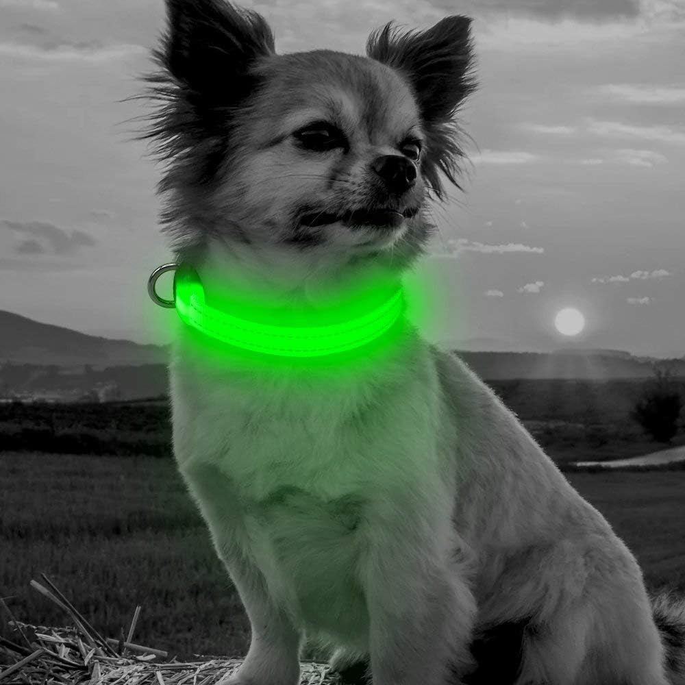 Light up Dog Collars - Adjustable Puppy Collar, Rechargeable LED Dog Collar for Small Dogs, Adjustable Cat Collar, Glowing Dog Lights for Night Walking (Green, XS)