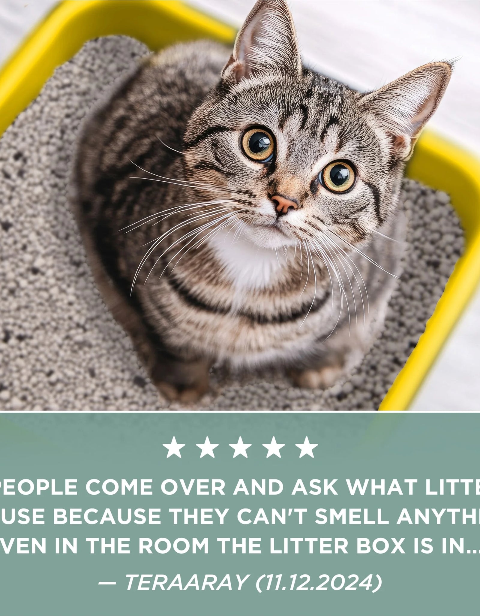 Purina  Free and Clean Clumping Cat Litter, Unscented, 20 Lb Jug