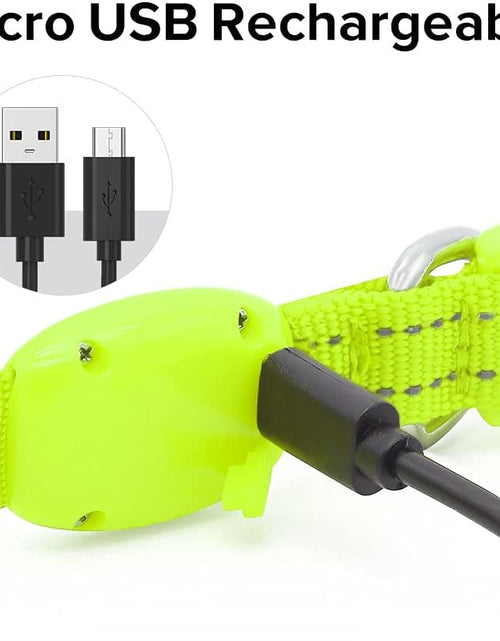Load image into Gallery viewer, Light up Dog Collars - Adjustable Puppy Collar, Rechargeable LED Dog Collar for Small Dogs, Adjustable Cat Collar, Glowing Dog Lights for Night Walking (Green, XS)
