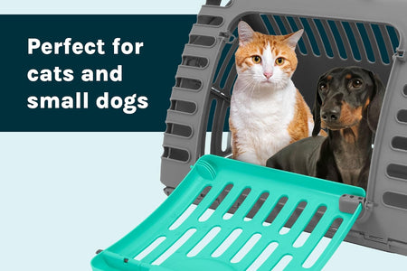 Foldable Travel Cat Carrier - Front Door Plastic Collapsible Carrier Collection, Waterproof Bed